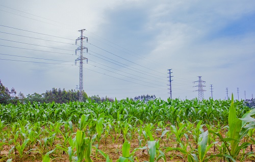 1652843029138825.png image.png