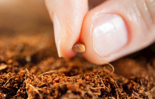 1676356174468228.png image.png